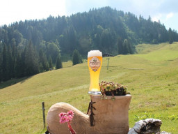 Jausenstation Wildalm