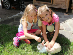 Hotel-Pension Wildschütz