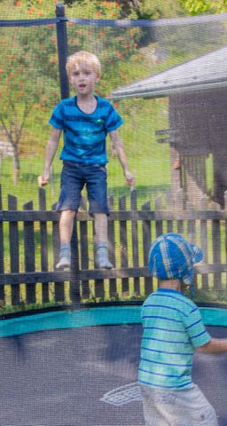 Familienbauernhof Griesbichlhof im Grossarltal