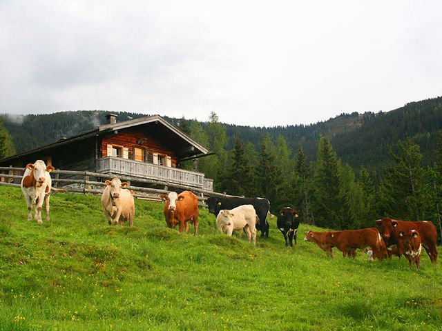 Bergmannsegg Almhütte Leogang