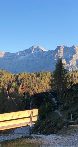 Ferienwohnungen Urlaub mit Hunde