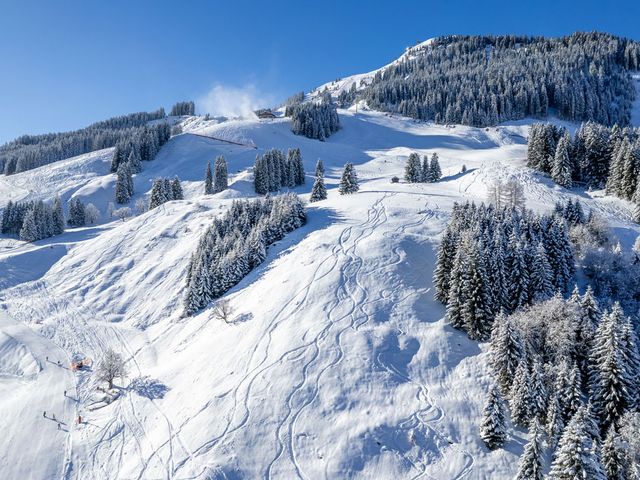 Ferienwohnungen Perfeldhof