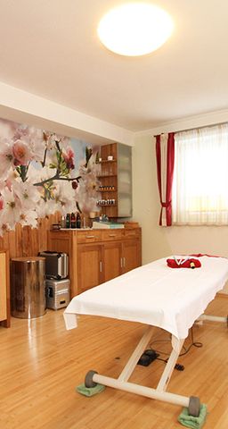 Steiner's Wellness-Appartements