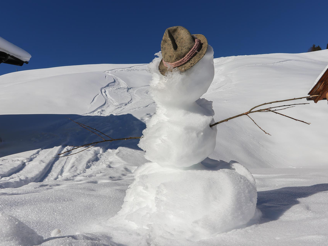 Ferienhaus Neureithof