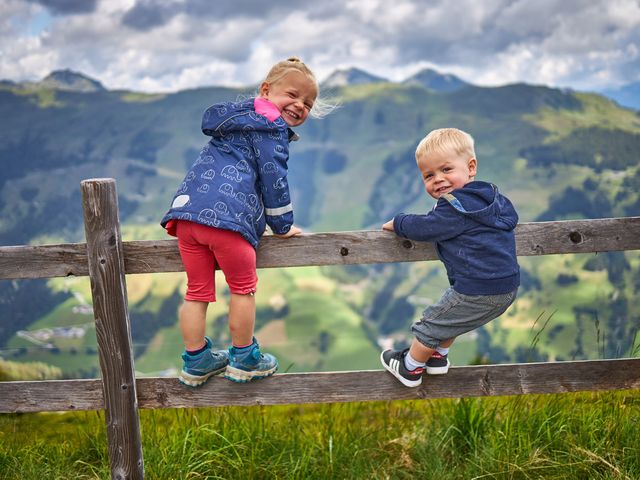 Bauernhof Perfeldhof