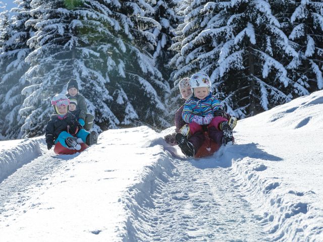 Bauernhof Perfeldhof