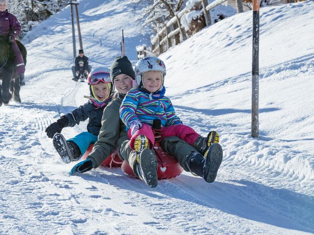Bauernhof Perfeldhof
