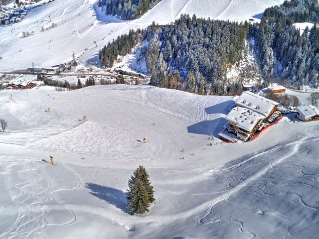 Bauernhof Perfeldhof