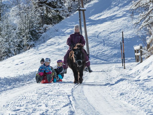 Bauernhof Perfeldhof