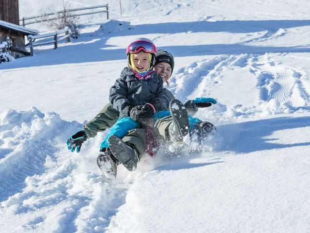 Bauernhof Perfeldhof