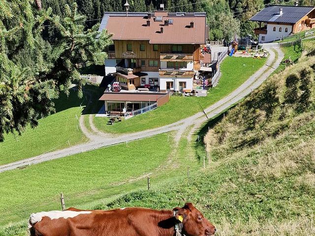 Bauernhof Perfeldhof