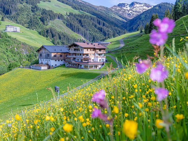 Bauernhof Perfeldhof