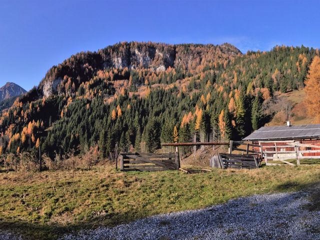 Almhütte im Gasteinertal DOR-SBG