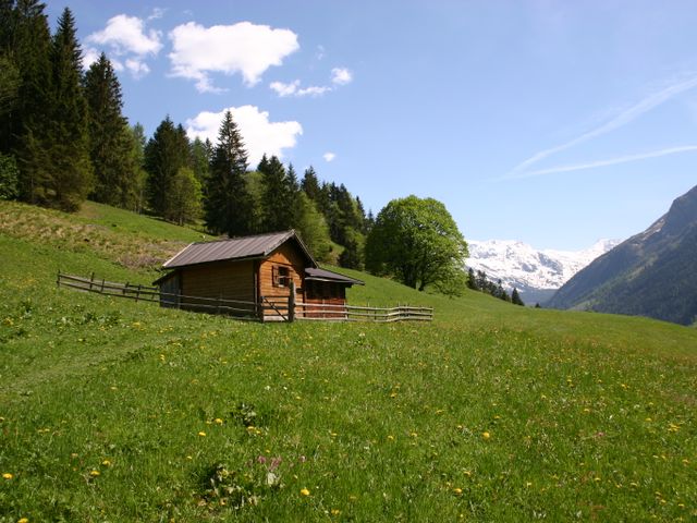 Almhütte in Rauris NIG-SBG