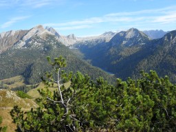 Heubadehof Jausenstation Pürzlbach
